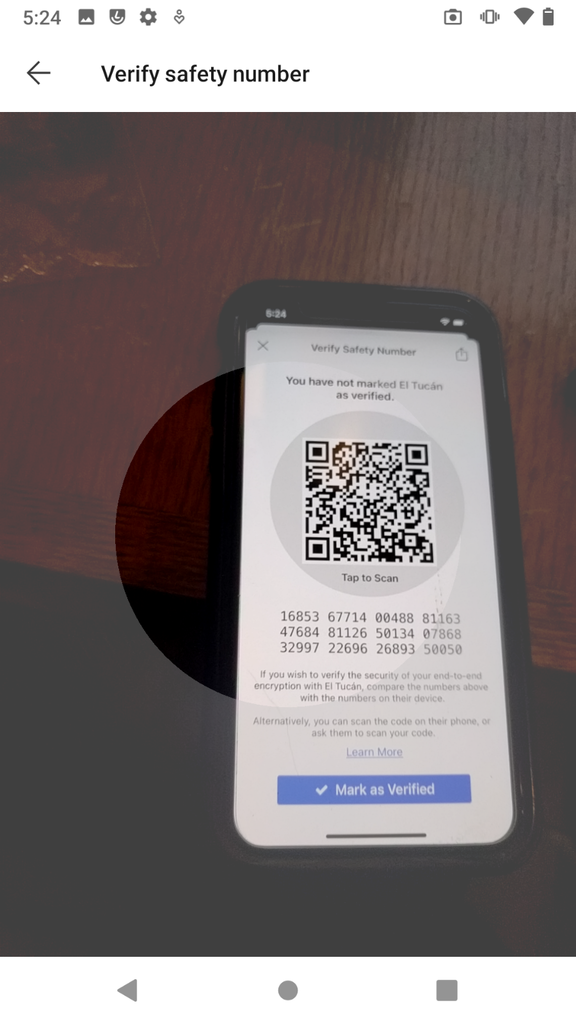 QR code scanning on mobile phone correct mark finish with coins