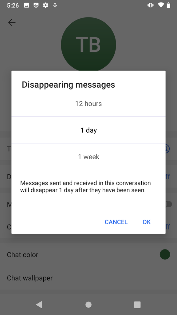 Conversation with disappearing messages dialogue